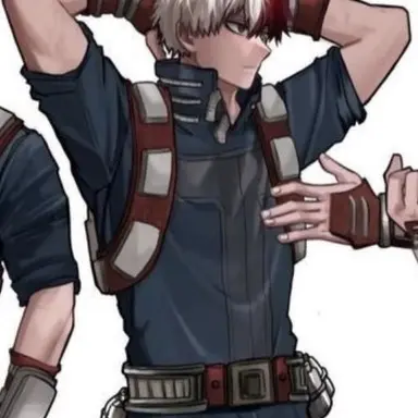 Profile image of Shoto Todoroki