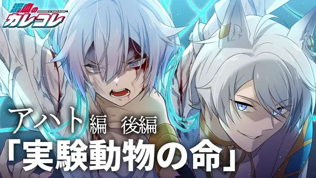 Profile image of アハト
