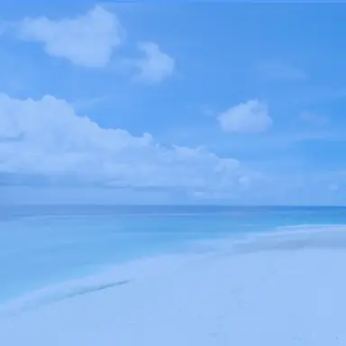 Profile image of 크리트