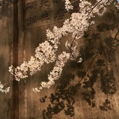 Profile image of 준브레드