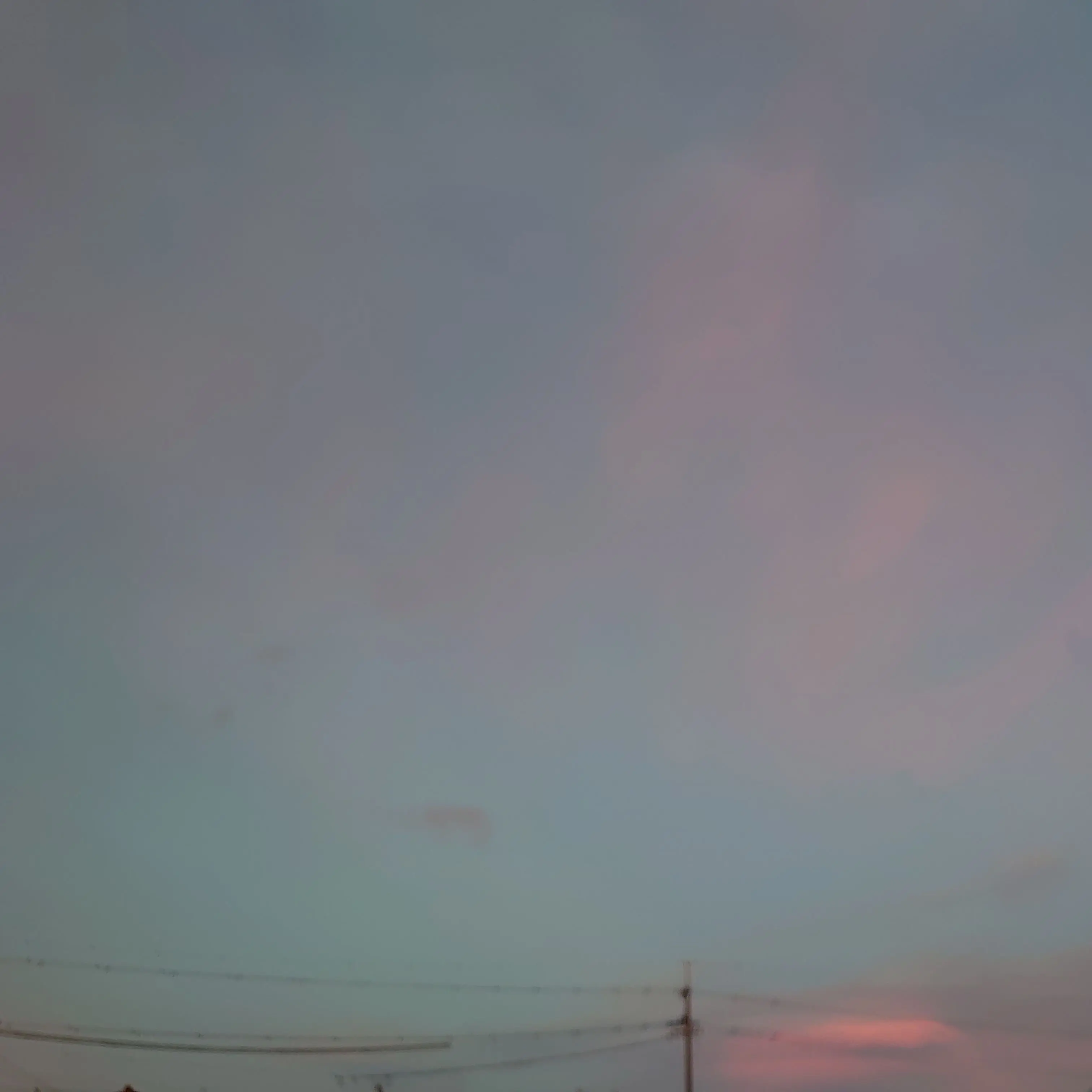 NewFinch9176의 (´˙꒳​˙ ｀)