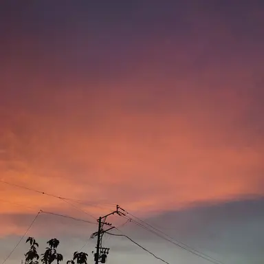 Profile image of 白音ハルト