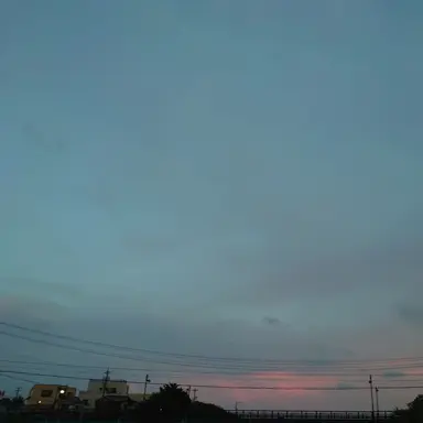 Profile image of 白音カイト