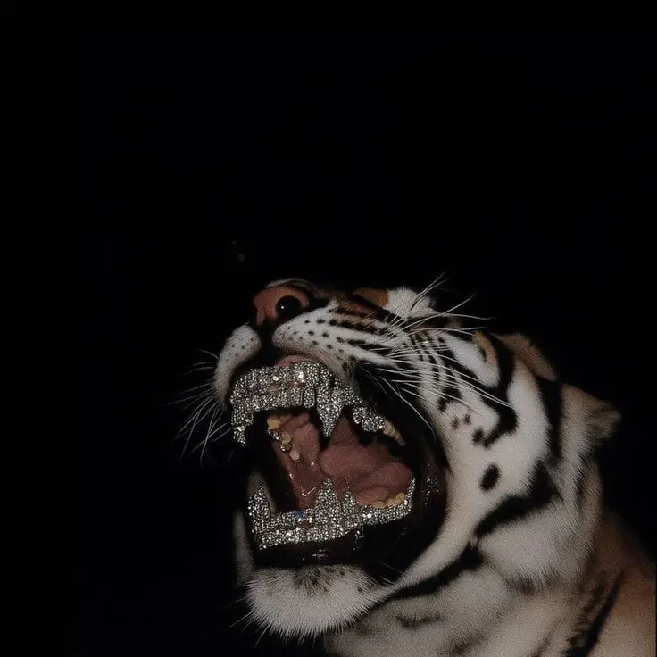 EvenCar4932의 ‎^_^