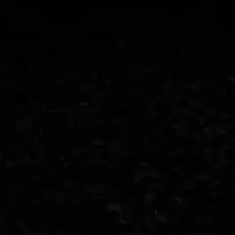 Profile image of なんでもできる世界