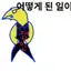 캐릭터 프로필 이미지
