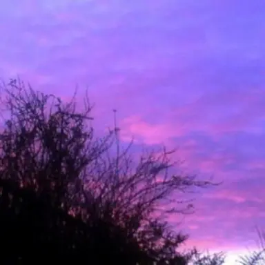 Profile image of 수현