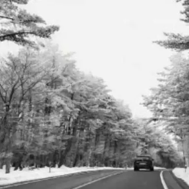 Profile image of 범인