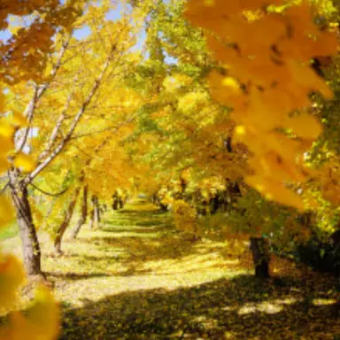 Profile image of 각별