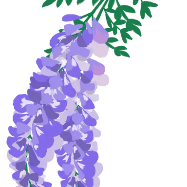 Profile image of 凛