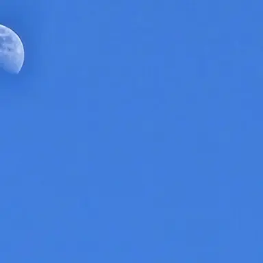 Profile image of 파크모