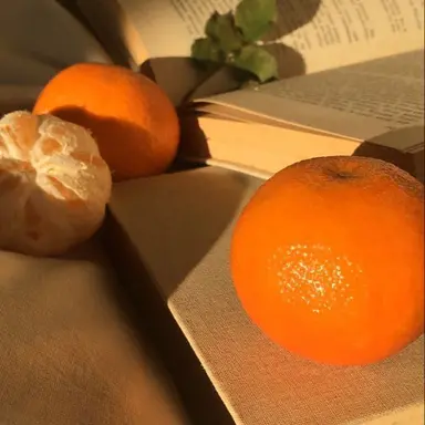 Profile image of 코마