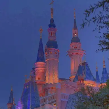 Profile image of 파이브