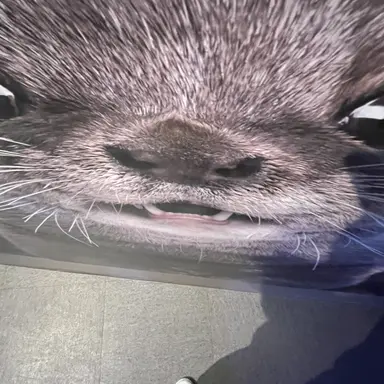 Profile image of 이계훈