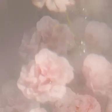 Profile image of 하야토