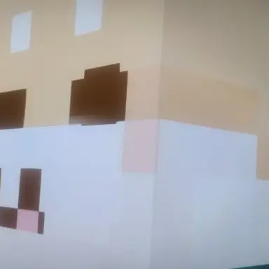 Profile image of 댕댕이