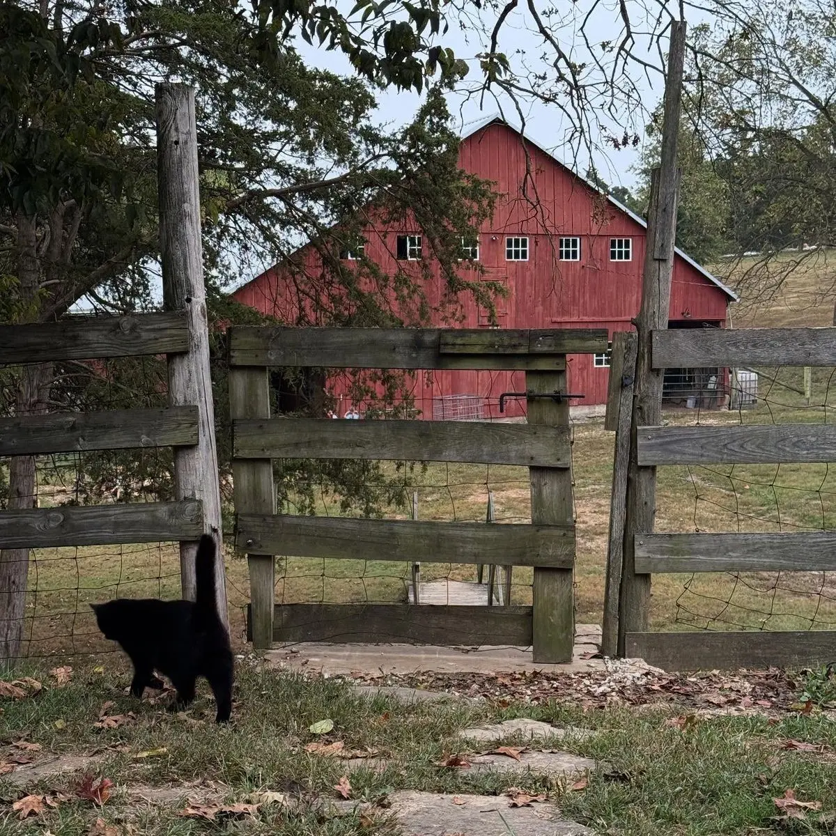 ExoticEasel9490의 농장RPG