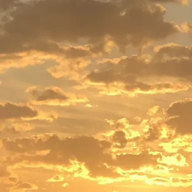 Profile image of 제미니