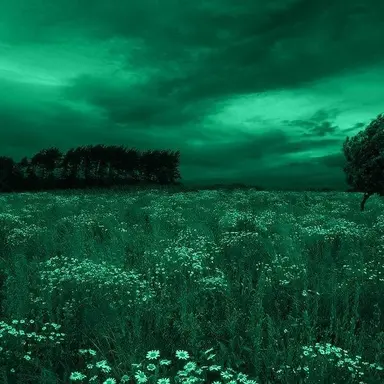 Profile image of 오뉴