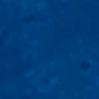 Profile image of 叶