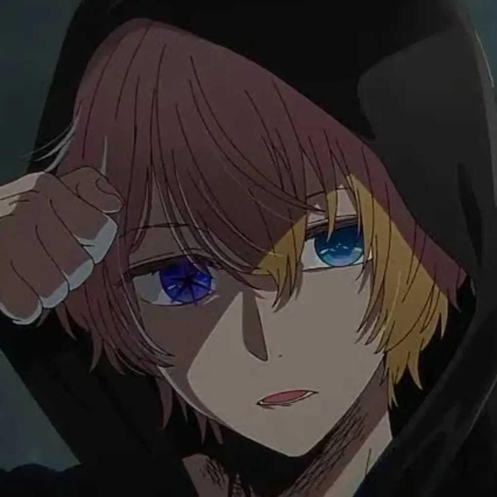 FestalChest6773의 호시노 아쿠아마린