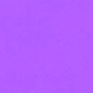 오토 레이니