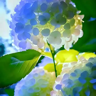 Profile image of 태훈