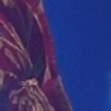 Profile image of 喜久雄