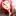 日常にときめきを