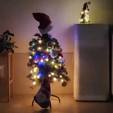 Profile image of 렌카