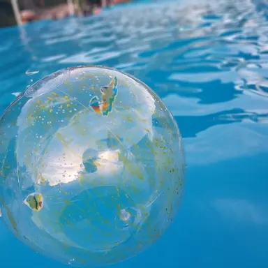 Profile image of 연이