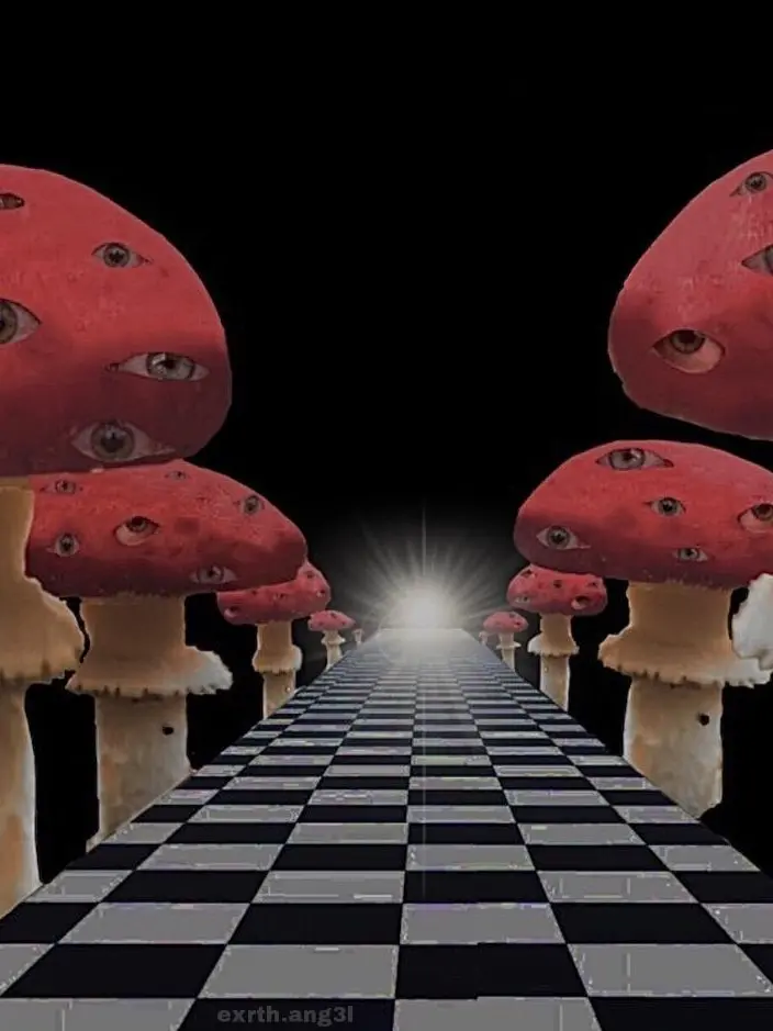 EngZ의 𝐖𝐄𝐈𝐑𝐃𝐂𝐎𝐑𝐄