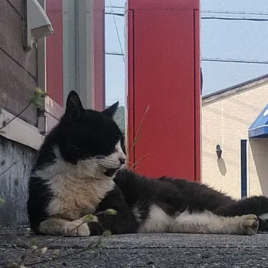 Profile image of マナミ