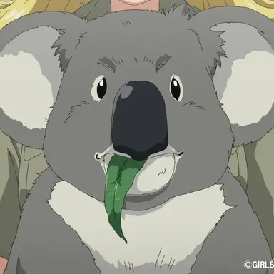 Profile image of コアラ