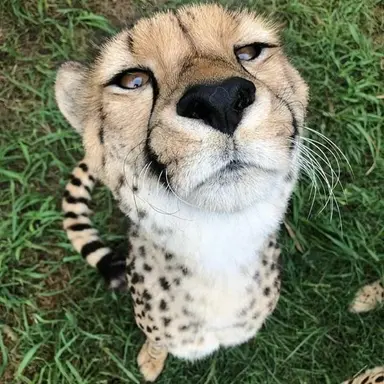 Profile image of Savanna