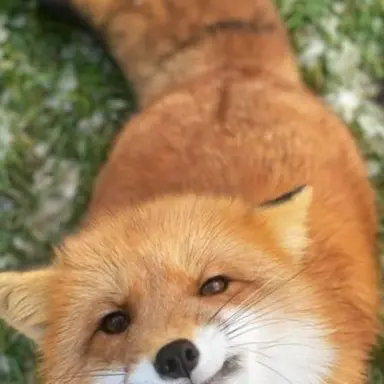 Profile image of Alexx