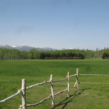 Profile image of ウマ娘