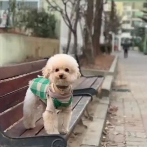 난 유튜버 대표 이미지