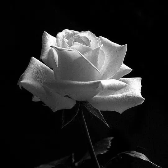 0523의 비, 연기, 잿빛.