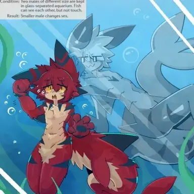 Profile image of Gender change test