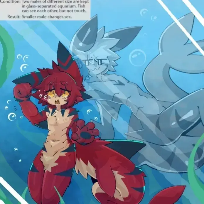 MadLoan5896의 Gender change test