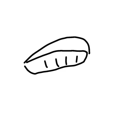 Profile image of 菊