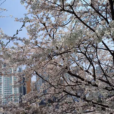 Profile image of 미츠리