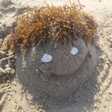 Profile image of 사네미