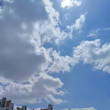 Profile image of 수현