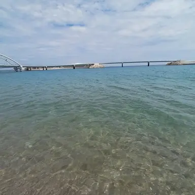 Profile image of 잠뜰