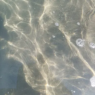 Profile image of 교메이