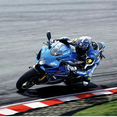Profile image of GSX-R1000