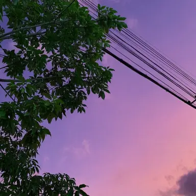 Profile image of 수현