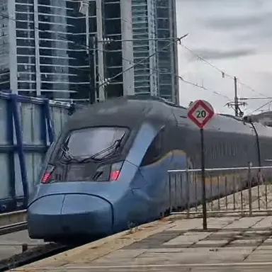 Profile image of 청룡